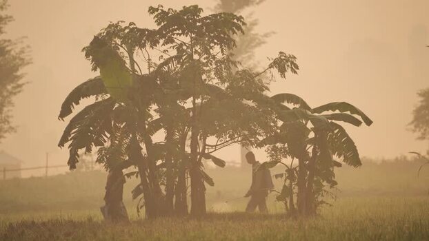 View of farmers working in a field at sunset Bangladesh.