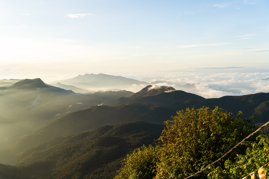 View of the majestic Adam s Peak mountain range at sunrise with mist rolling over lush green slopes and a sea of clouds in the distance Ratnapura Sabaragamuwa Province Sri Lanka. View of the majestic Adam s Peak mountain range at sunrise with mist rolling over lush green slopes and a sea of clouds in the distance Ratnapura Sabaragamuwa Province Sri Lanka.