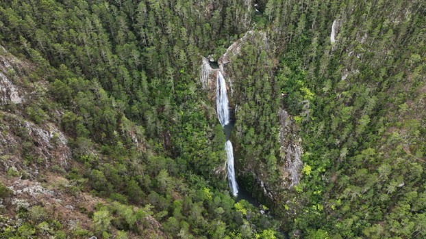 Aerial view of Salto de Aguas Blancas cascading through a dense pine forest in the mountains of Constanza La Vega Province Dominican Republic.