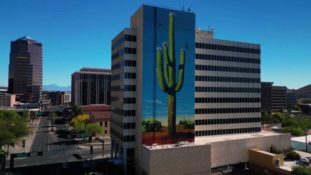 Aerial view of a cactus mural United States. Aerial view of a cactus mural United States.