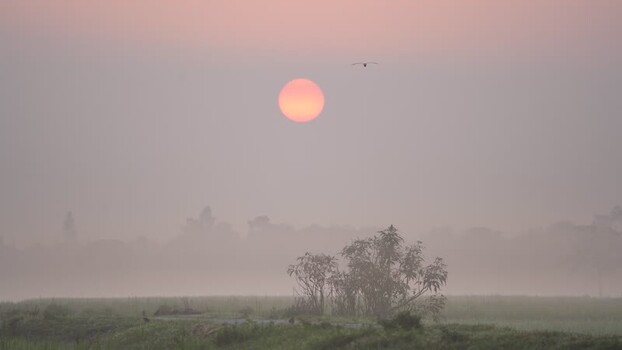 View of a hazy sunrise over rural fields in Bogura Bangladesh.