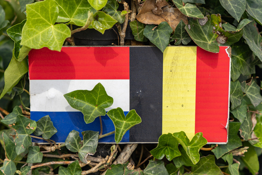 View of a sign displaying the national flags of the Netherlands and Belgium nestled among lush green ivy leaves in Baarle Nassau North Brabant Netherlands.