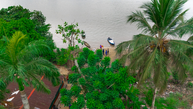 Aerial view of a riverbank with small boats moored at the shore lush palm trees and people standing near the water in Minima Rivers Nigeria.