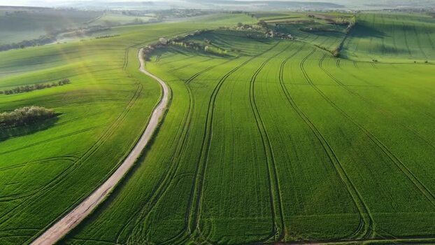 Aerial view of rolling green fields in South Moravian Region Czechia.