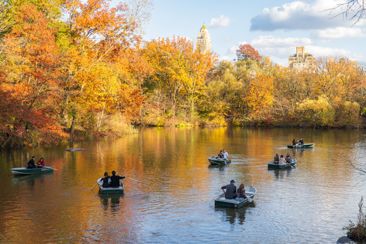 Manhattan United States 08 November 2025 View of rowboats gently gliding across the serene lake in Central Park framed by the vibrant autumn foliage and the iconic city skyline. Manhattan United States 08 November 2025 View of rowboats gently gliding across the serene lake in Central Park framed by the vibrant autumn foliage and the iconic city skyline.