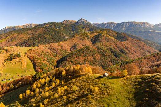 Aerial view of a small wooden cabin nestled on a rolling hillside covered in vibrant autumn foliage with the Carpathian Mountains in the background in Bran Brasov Romania. Aerial view of a small wooden cabin nestled on a rolling hillside covered in vibrant autumn foliage with the Carpathian Mountains in the background in Bran Brasov Romania.