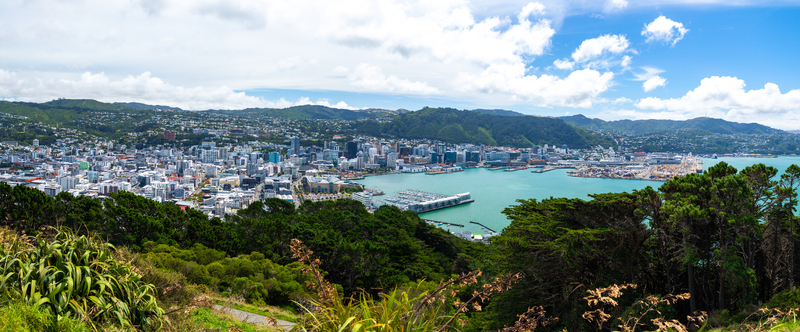 Wellington New Zealand 18 February 2026 View of the city sprawling towards the harbor a tapestry of white buildings against the deep blue waters framed by lush green hills and vibrant trees.