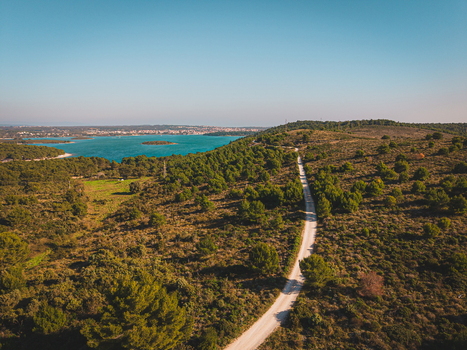 Aerial view of a winding road cutting through verdant forests towards the shimmering Adriatic Sea framed by the distant coastline Kamenjak Istria County Croatia.