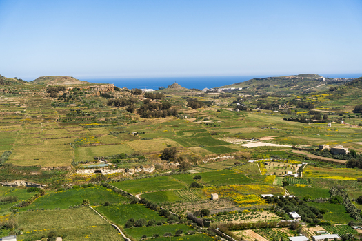 View of lush terraced fields and green valleys stretching towards the blue Mediterranean Sea under a clear sky in Zebbug Gozo Region Malta. View of lush terraced fields and green valleys stretching towards the blue Mediterranean Sea under a clear sky in Zebbug Gozo Region Malta.