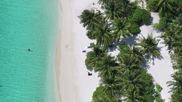 Aerial view of a tropical beach with palm trees and turquoise water Maldives. Aerial view of a tropical beach with palm trees and turquoise water Maldives.