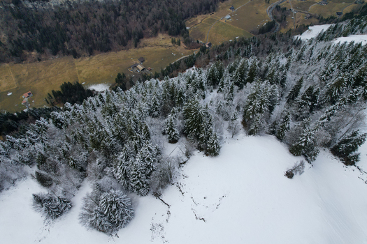 Aerial view of the snow covered pine forests and alpine slopes of Les Rives near the mountain village of Champery Valais Switzerland.