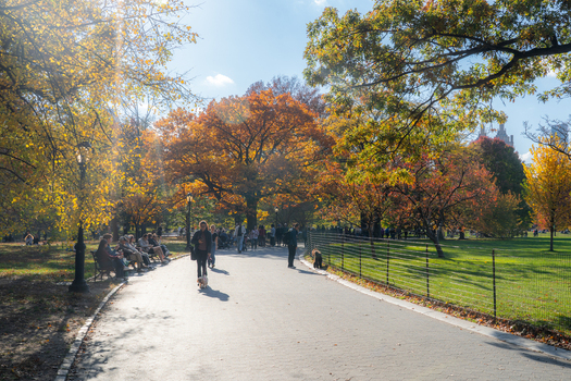 Manhattan United States 08 November 2025 View of Central Park s winding path ablaze with autumn s fiery hues as city dwellers stroll amidst the vibrant foliage and sun dappled lawns. Manhattan United States 08 November 2025 View of Central Park s winding path ablaze with autumn s fiery hues as city dwellers stroll amidst the vibrant foliage and sun dappled lawns.