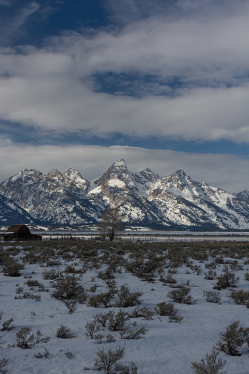 View of the snow capped peaks of the Grand Teton mountains rising above a winter landscape with a rustic wooden barn in the foreground Teton County Wyoming United States.