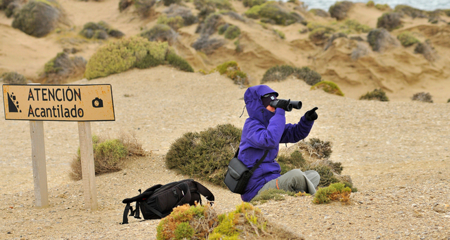 View of a person in a purple jacket looking through binoculars near a warning sign in Puerto Piramides Puerto Madryn Chubut Argentina. View of a person in a purple jacket looking through binoculars near a warning sign in Puerto Piramides Puerto Madryn Chubut Argentina.