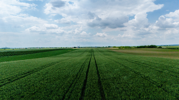 Aerial view of vast green agricultural fields with parallel tractor tracks under a cloudy sky in Novi Sad Vojvodina Serbia. Aerial view of vast green agricultural fields with parallel tractor tracks under a cloudy sky in Novi Sad Vojvodina Serbia.