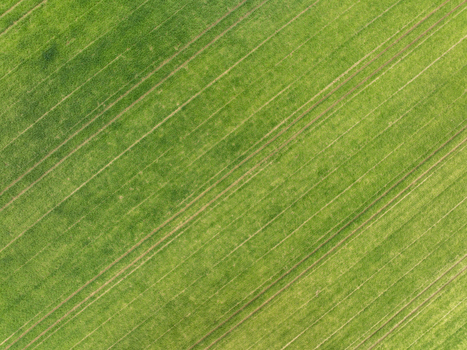 Aerial view of a lush green agricultural field with diagonal tractor tracks in Aiglsbach Bavaria Germany. Aerial view of a lush green agricultural field with diagonal tractor tracks in Aiglsbach Bavaria Germany.