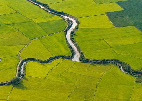Aerial view of Lak Lake surrounded by vibrant green rice paddies and a winding river in Lien Son Lak Dak Lak Vietnam. Aerial view of Lak Lake surrounded by vibrant green rice paddies and a winding river in Lien Son Lak Dak Lak Vietnam.