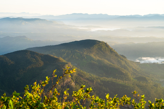 View of Adam s Peak rising above misty mountain ranges and lush green forests under the soft morning light Ratnapura Sabaragamuwa Province Sri Lanka. View of Adam s Peak rising above misty mountain ranges and lush green forests under the soft morning light Ratnapura Sabaragamuwa Province Sri Lanka.