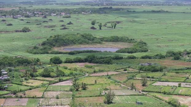 Aerial view of a rural pond and green fields in Mauritius.