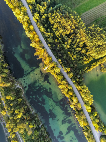 Aerial view of a winding river with clear turquoise water bordered by a road and dense autumn trees in Austria. Aerial view of a winding river with clear turquoise water bordered by a road and dense autumn trees in Austria.