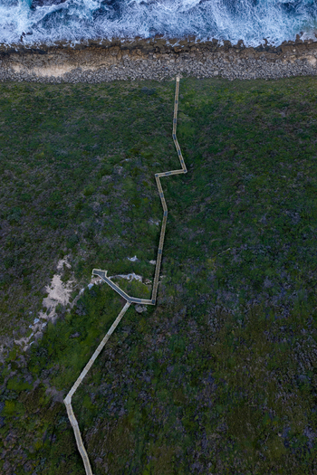 Aerial view of the Sandpatch boardwalk winding through coastal vegetation towards the rocky shoreline in Albany Western Australia Australia. Aerial view of the Sandpatch boardwalk winding through coastal vegetation towards the rocky shoreline in Albany Western Australia Australia.
