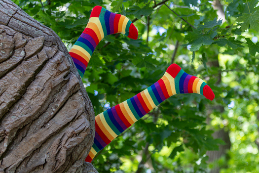 View of legs wearing colorful rainbow striped socks sticking out from behind a large tree trunk in a lush green forest in Varel Lower Saxony Germany. View of legs wearing colorful rainbow striped socks sticking out from behind a large tree trunk in a lush green forest in Varel Lower Saxony Germany.