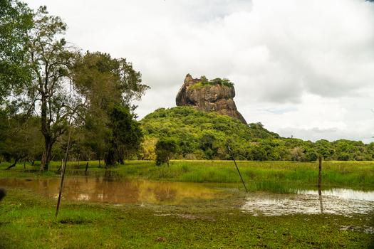 View of the ancient Sigiriya Rock fortress rising above lush green jungle and a grassy field with a small pond under a cloudy sky in Sigiriya Central Province Sri Lanka. View of the ancient Sigiriya Rock fortress rising above lush green jungle and a grassy field with a small pond under a cloudy sky in Sigiriya Central Province Sri Lanka.