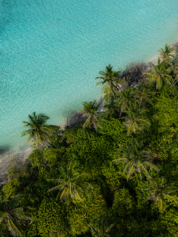 Aerial view of turquoise waters meet the lush greenery of palm lined shores creating a vibrant contrast in this tropical paradise Thuraakunu Thiladhunmathee Uthuruburi Maldives. Aerial view of turquoise waters meet the lush greenery of palm lined shores creating a vibrant contrast in this tropical paradise Thuraakunu Thiladhunmathee Uthuruburi Maldives.