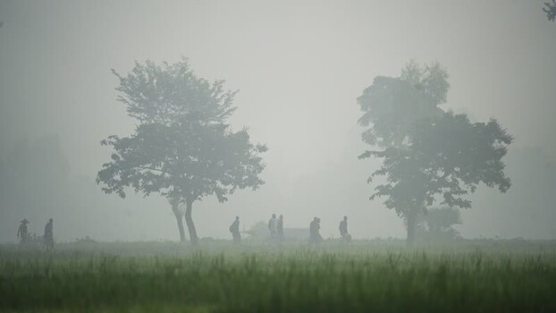 View of people walking through a foggy field in Bangladesh. View of people walking through a foggy field in Bangladesh.