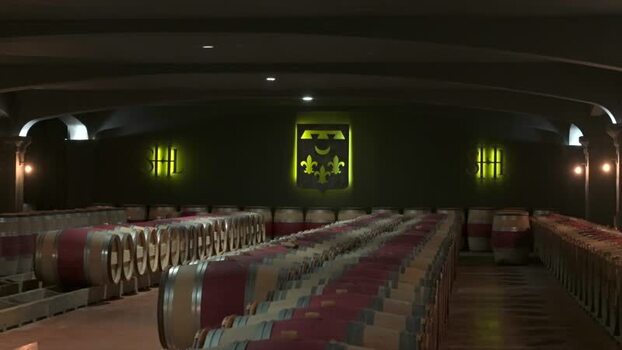 View of a dimly lit wine cellar with barrels France.