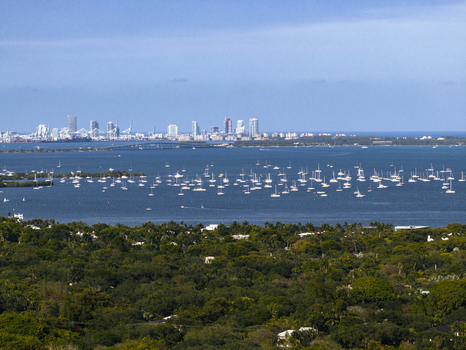 Aerial view of many sailboats anchored in the blue waters of the bay with the city skyline in the distance and lush trees in the foreground Coral Gables Florida United States.