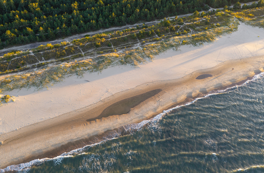 Aerial view of the Baltic Sea coastline with sandy beach dunes and pine forest under golden hour light in Gdansk Pomeranian Voivodeship Poland.