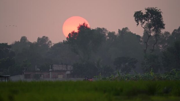 View of a large orange sun setting behind trees in Bogura Bangladesh. View of a large orange sun setting behind trees in Bogura Bangladesh.