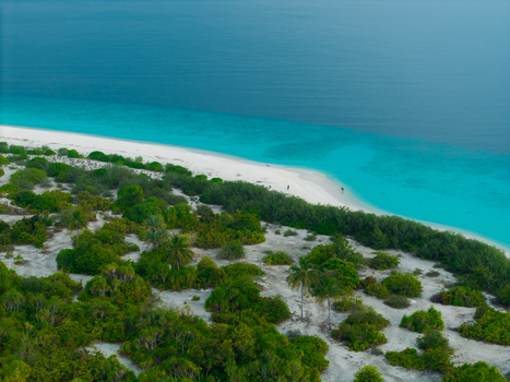 Aerial view of a white sand beach meeting vibrant turquoise and deep blue ocean framed by lush green island foliage Hoarafushi Thiladhunmathee Uthuruburi Maldives. Aerial view of a white sand beach meeting vibrant turquoise and deep blue ocean framed by lush green island foliage Hoarafushi Thiladhunmathee Uthuruburi Maldives.