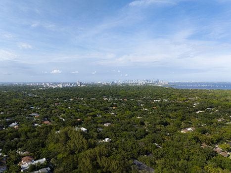 Aerial view of the lush green tree canopy and residential rooftops with the city skyline in the distance Coral Gables Florida United States.
