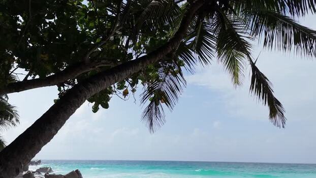 Aerial view of Anse Georgette beach in Seychelles.