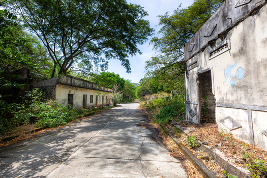 View of abandoned buildings and houses along a cracked concrete road being reclaimed by overgrown trees and vegetation.