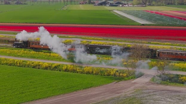 Aerial view of a steam train passing through tulip fields Netherlands.
