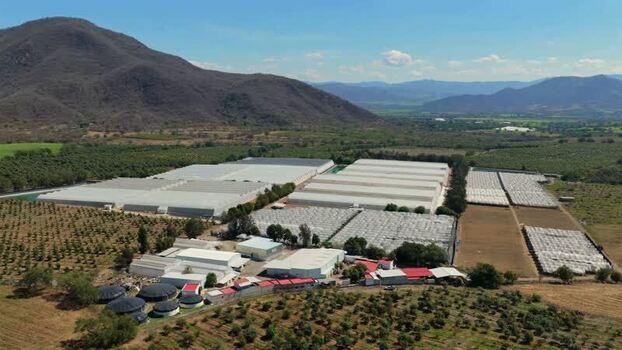 Aerial view of Gomalor agricultural facility Mexico. Aerial view of Gomalor agricultural facility Mexico.