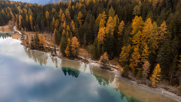 Aerial view of Lake Antorno surrounded by dense autumn forest with vibrant yellow and orange larch trees and a wooden walking path along the clear water in Auronzo di Cadore Veneto Italy. Aerial view of Lake Antorno surrounded by dense autumn forest with vibrant yellow and orange larch trees and a wooden walking path along the clear water in Auronzo di Cadore Veneto Italy.