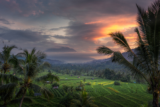 Aerial view of lush rice terraces nestled in a valley with palm trees and a misty mountain under a dramatic sunset sky in Sidemen Bali Indonesia. Aerial view of lush rice terraces nestled in a valley with palm trees and a misty mountain under a dramatic sunset sky in Sidemen Bali Indonesia.