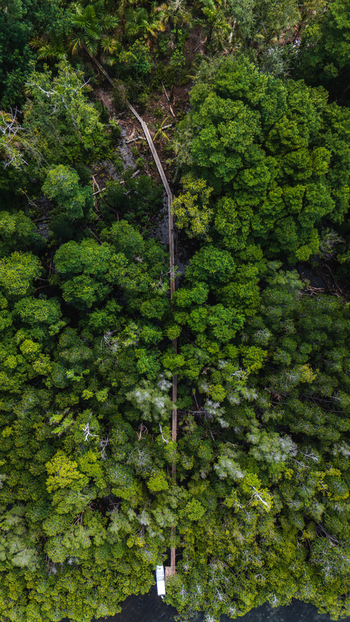 Aerial view of a narrow pathway slicing through a vibrant tapestry of lush green forest canopy Gizo Western Province Solomon Islands. Aerial view of a narrow pathway slicing through a vibrant tapestry of lush green forest canopy Gizo Western Province Solomon Islands.