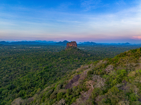 Aerial view of Sigiriya Lion Rock rising above the dense green jungle canopy in Sigiriya Central Province Sri Lanka. Aerial view of Sigiriya Lion Rock rising above the dense green jungle canopy in Sigiriya Central Province Sri Lanka.