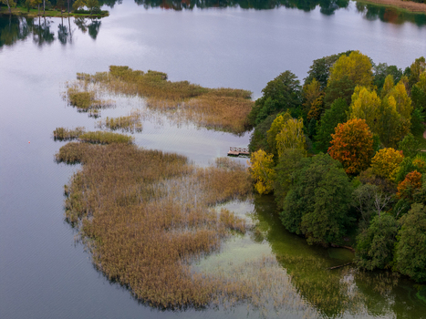 Aerial view of a serene lake featuring golden reeds and a small wooden pier surrounded by vibrant autumn trees Lithuania. Aerial view of a serene lake featuring golden reeds and a small wooden pier surrounded by vibrant autumn trees Lithuania.