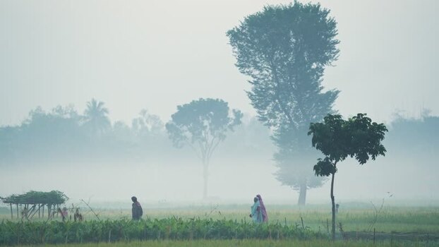 View of people walking through a misty field in Bogura Bangladesh. View of people walking through a misty field in Bogura Bangladesh.