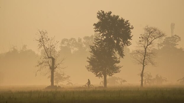 View of a person on a bicycle in a misty field Bangladesh.