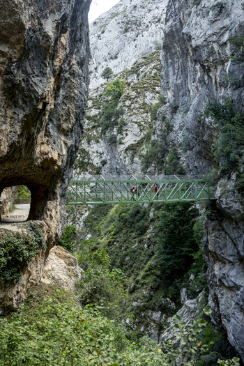 View of a vibrant green bridge stretches across a gorge connecting rocky cliffs amidst lush greenery in the Picos de Europa Picos de Europa Asturias Spain. View of a vibrant green bridge stretches across a gorge connecting rocky cliffs amidst lush greenery in the Picos de Europa Picos de Europa Asturias Spain.