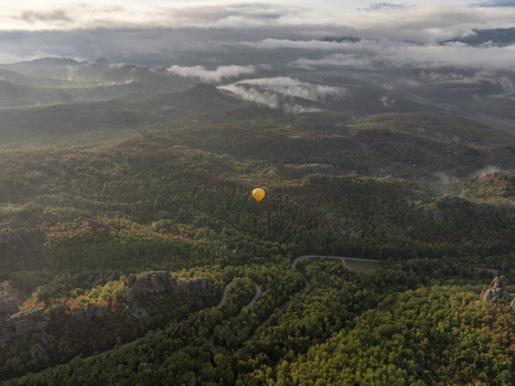 Aerial view of a yellow hot air balloon floating above the unique rock formations and lush forests of the Belogradchik Rocks at sunrise in Belogradchik Vidin Bulgaria.