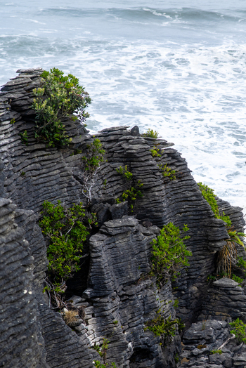 View of the rugged Pancake Rocks rise dramatically against the turbulent frothy ocean waters showcasing nature s raw power Pancake Rocks and Blowholes Walk West Coast Region New Zealand. View of the rugged Pancake Rocks rise dramatically against the turbulent frothy ocean waters showcasing nature s raw power Pancake Rocks and Blowholes Walk West Coast Region New Zealand.