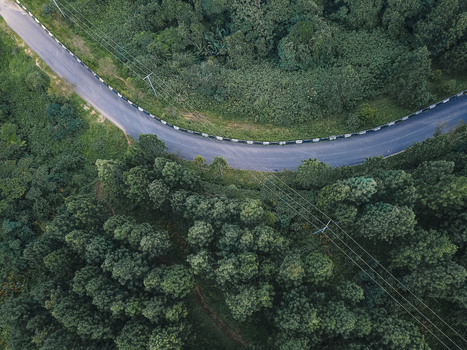 Aerial view of a dark winding road its stark asphalt contrasting sharply with the rich textured green canopy of the forest Obudu Cross River Nigeria.